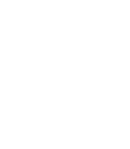 Effy Lowan - White Transparent Diamond Logo